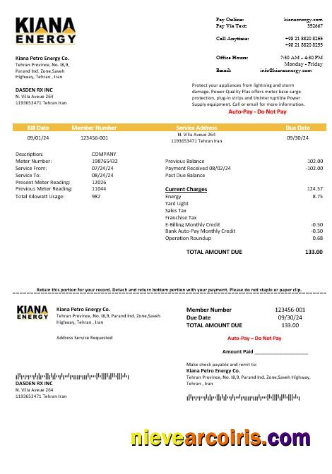 Iran Kiana Petro Energy Co business utility bill